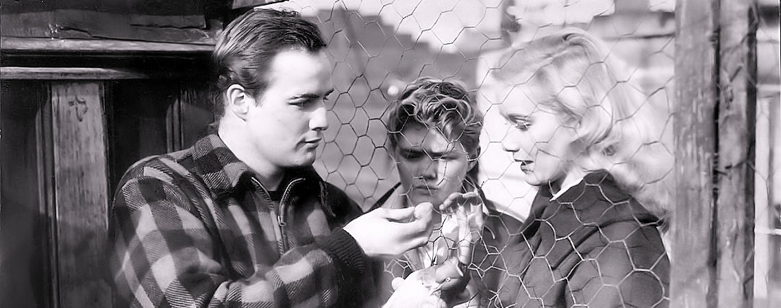 Marlon Brando, Arthur Keegan, Eva Marie Saint | "On the Waterfront" (1954)